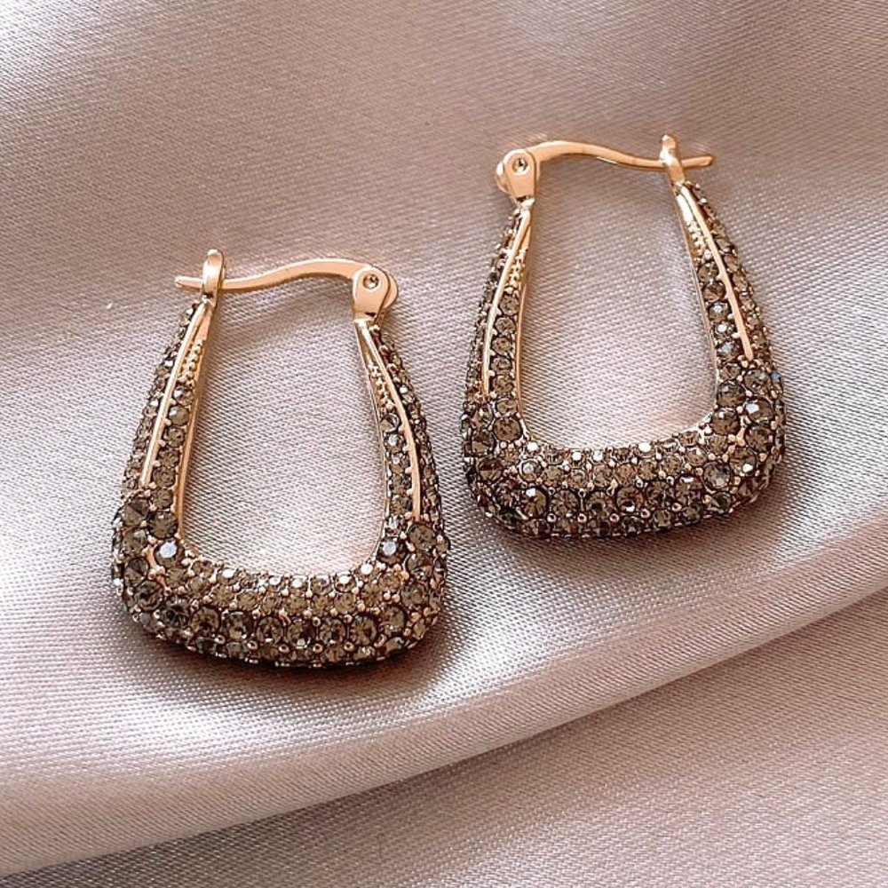 GOLICC Geometric U-shaped Full Drill Earrings